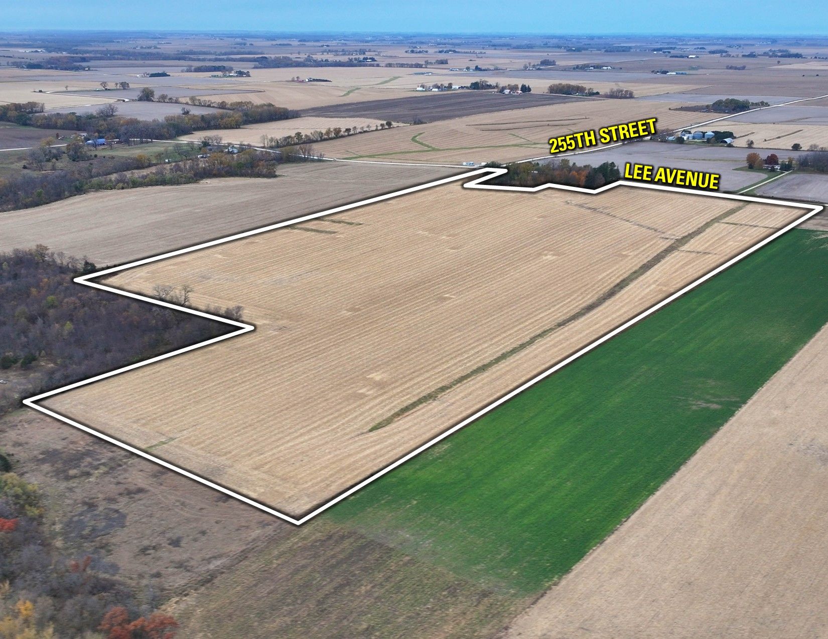 Listing Photo: Drone Outline NE